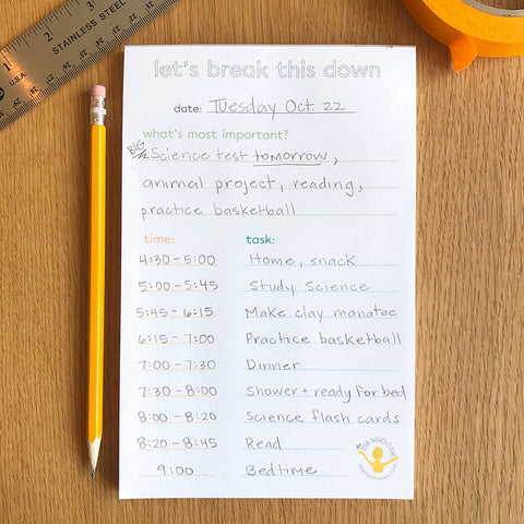 Afterschool Homework Planner Sheet - PRINTABLE